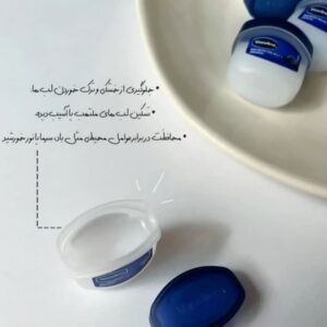 بالم لب مینی وازلین Vaselin